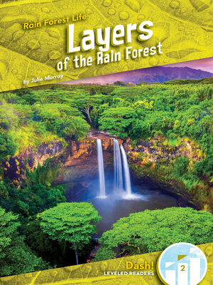 cover image of Layers of the Rain Forest